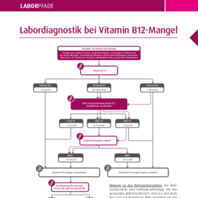 Labordiagnostik bei Vitamin B12-Mangel