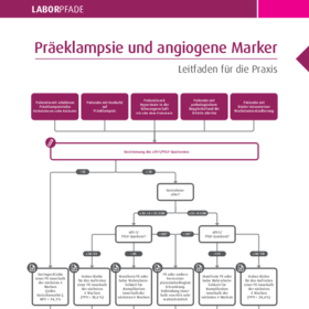 LaborPfad Präeklampsie